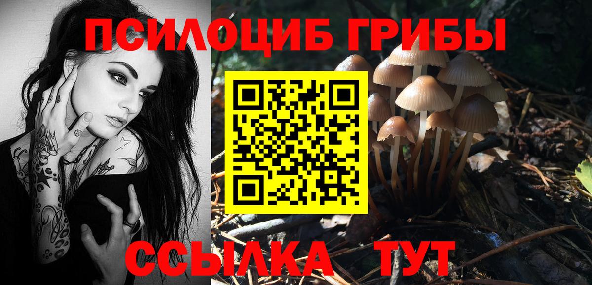 Галлюциногенные грибы прущие грибы Кизляр