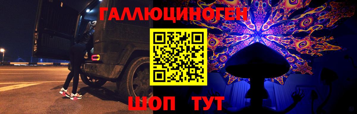 Кизляр  Псилоцибиновые грибы Psilocybine cubensis  Вход с VPN  Псилоцибиновые грибы Psilocybe 