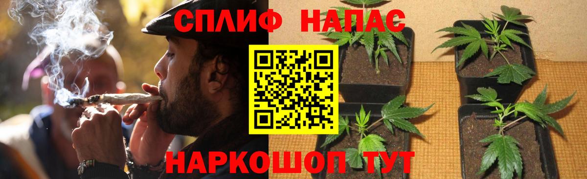 Бошки Шишки гибрид  МАРИХУАНА Bruce Banner  Марихуана семена  Кизляр  Вход с VPN 